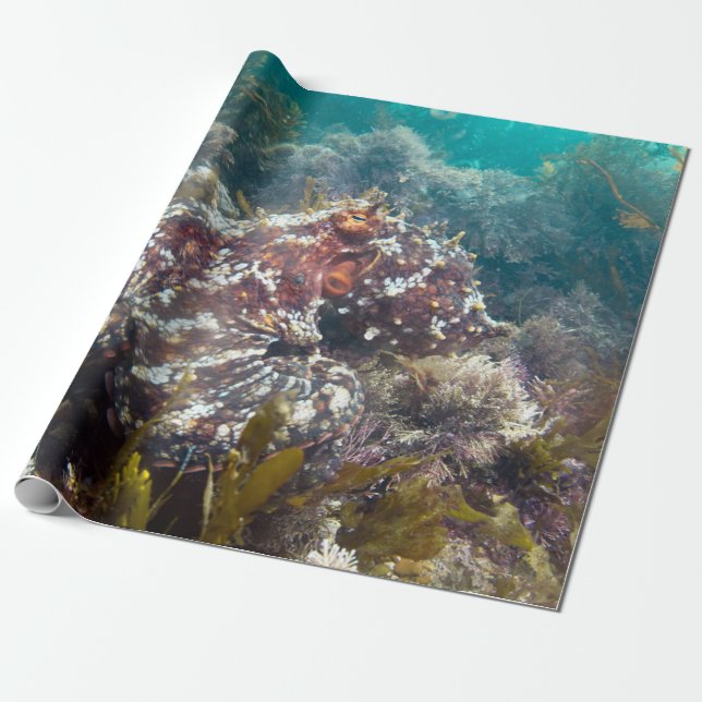Papier Cadeau Papier d'emballage bleu de corail (Déroulé)