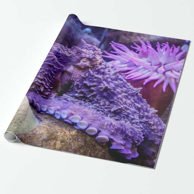 Papier Cadeau Papier d'emballage bleu octopus violet (Déroulé)
