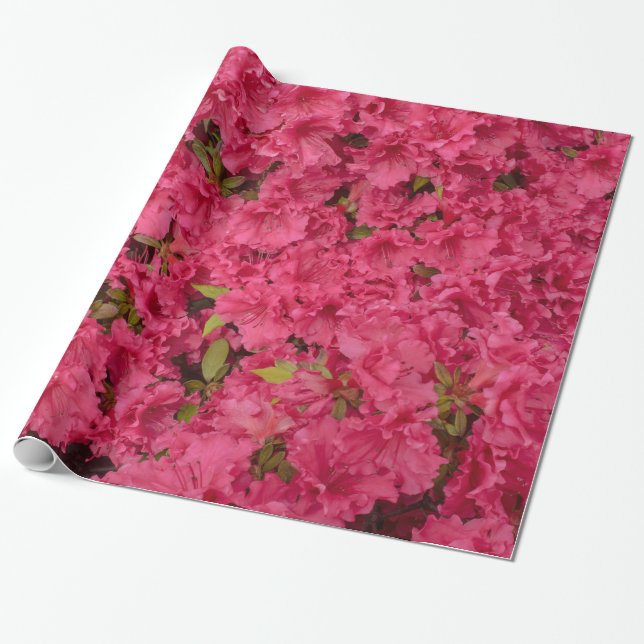 Papier Cadeau Papier d'emballage d'azalée rose (Déroulé)