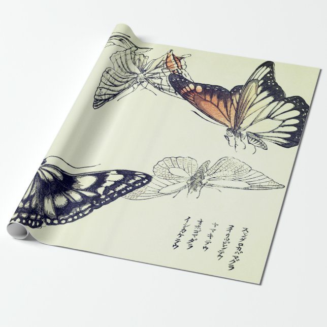Papier Cadeau Papier d'emballage de BOIS DE GRAVEUR de PAPILLON (Déroulé)