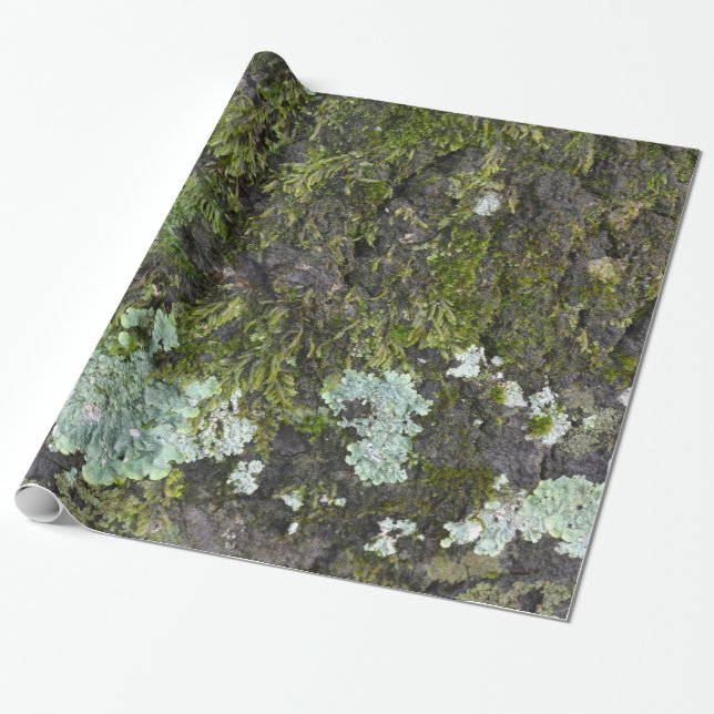 Papier Cadeau Papier d'emballage de Camo de vraie photographie (Déroulé)