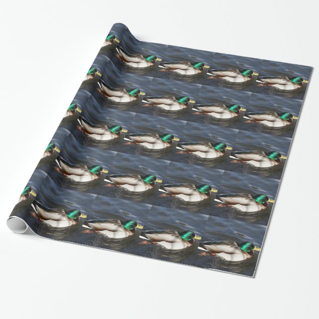 Papier Cadeau Papier d'emballage de canard masculin de Mallard (Déroulé)