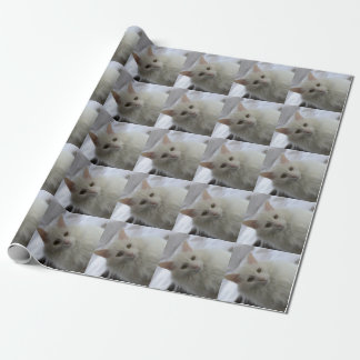 Papier Cadeau papier d'emballage de chat angora turc blanc