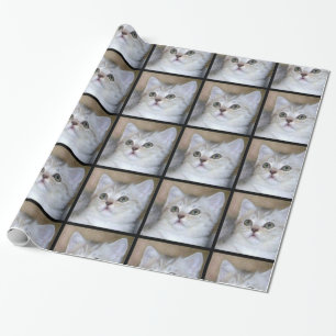 Papier Cadeau Papier d'emballage de chat gris