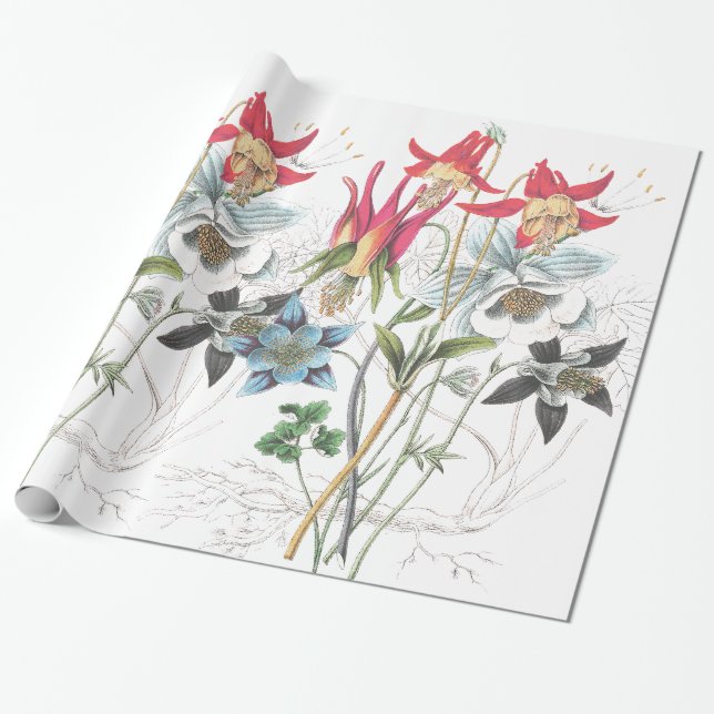 Papier Cadeau Papier d'emballage de fleurs de Columbine (Déroulé)