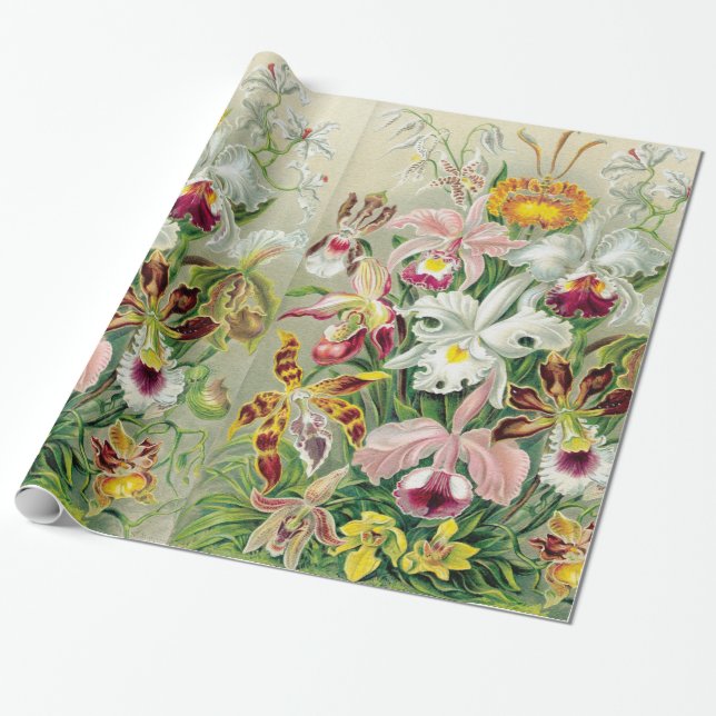 Papier Cadeau Papier d'emballage de fleurs d'Orchidae (Déroulé)