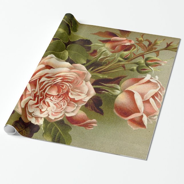 Papier Cadeau Papier d'emballage de fleurs roses de chou (Déroulé)