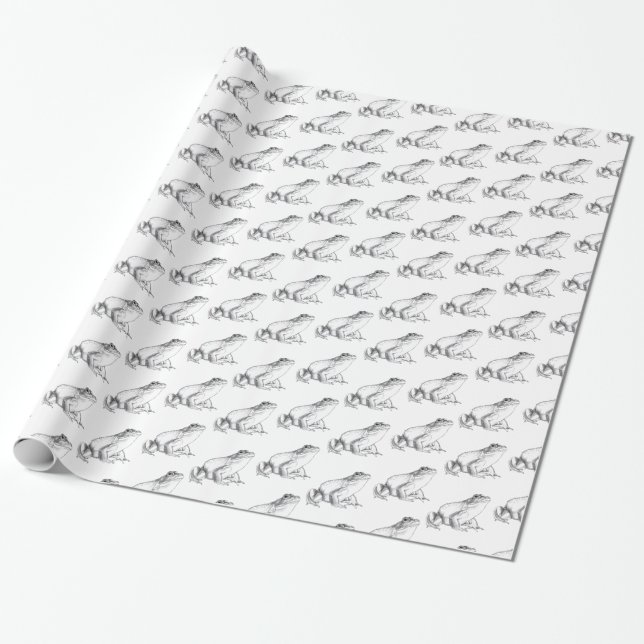 Papier Cadeau Papier d'emballage de grenouille mignonne de (Déroulé)