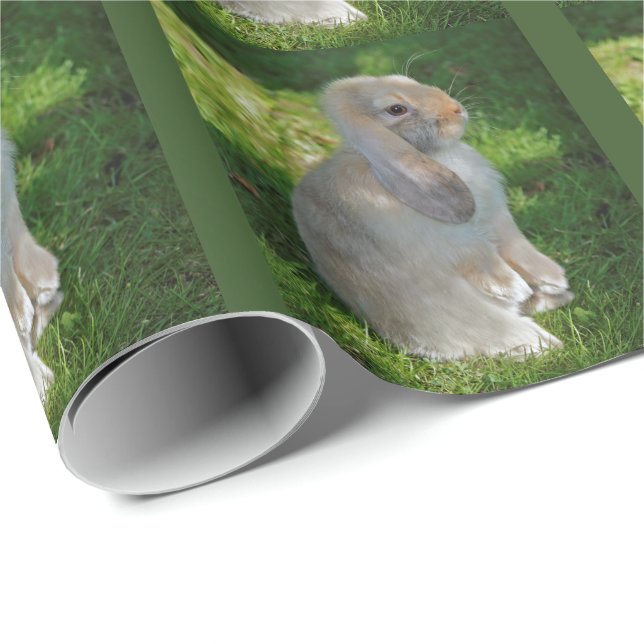 Papier Cadeau Papier d'emballage de lapin de Minilop de bébé (Coin rond)