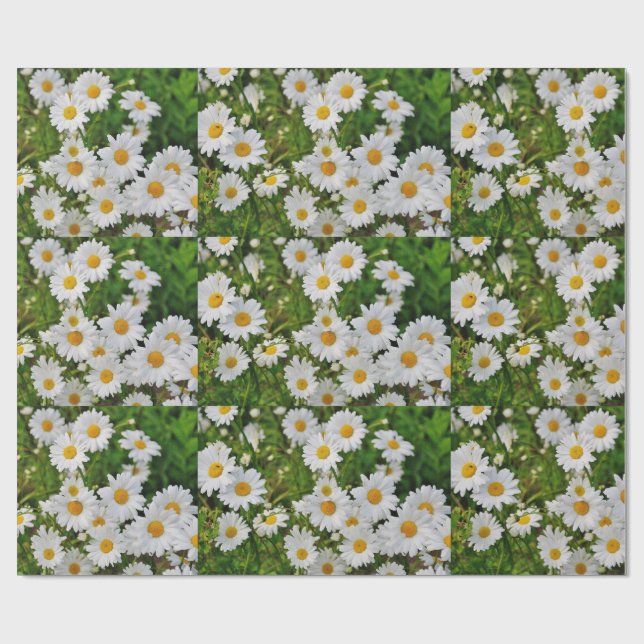 Papier Cadeau Papier d'emballage de marguerite (Plat)