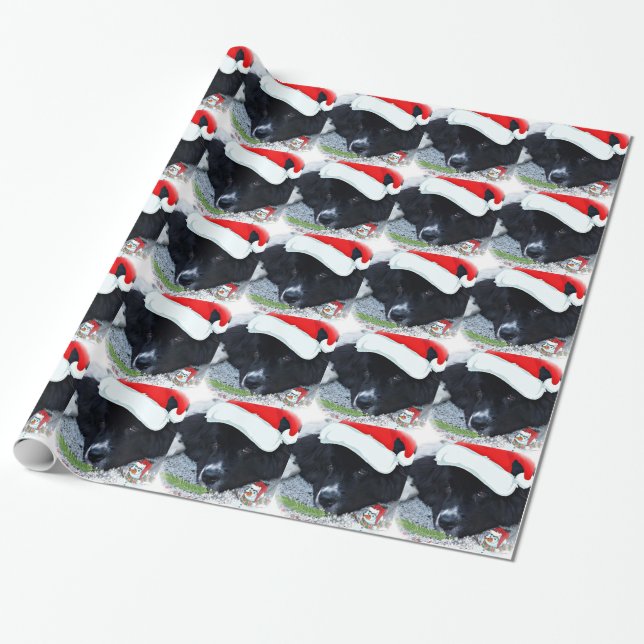 Papier Cadeau Papier d'emballage de Noël de Terre-Neuve de la (Déroulé)