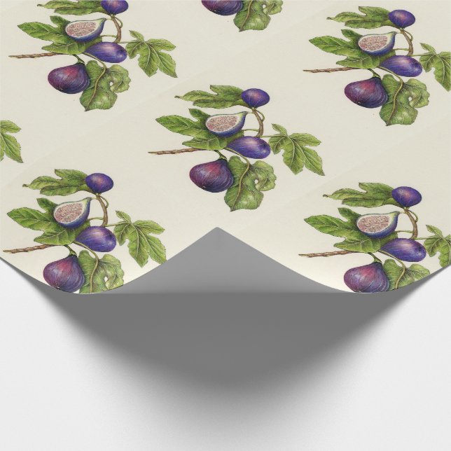 Papier Cadeau Papier d'emballage de Noël d'impression de figue - (Coin)