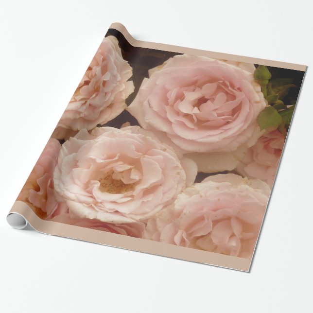 Papier Cadeau Papier d'emballage de roses précieux (Déroulé)