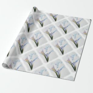 PAPIER CADEAU PAPIER D'EMBALLAGE DE ZANTEDESCHIAS BLANCS
