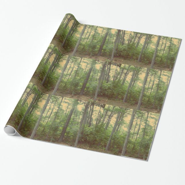 Papier Cadeau Papier d'emballage des arbres forestiers (Déroulé)