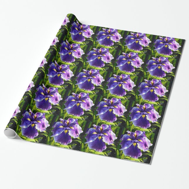 Papier Cadeau Papier d'emballage d'iris assez pourpre (Déroulé)