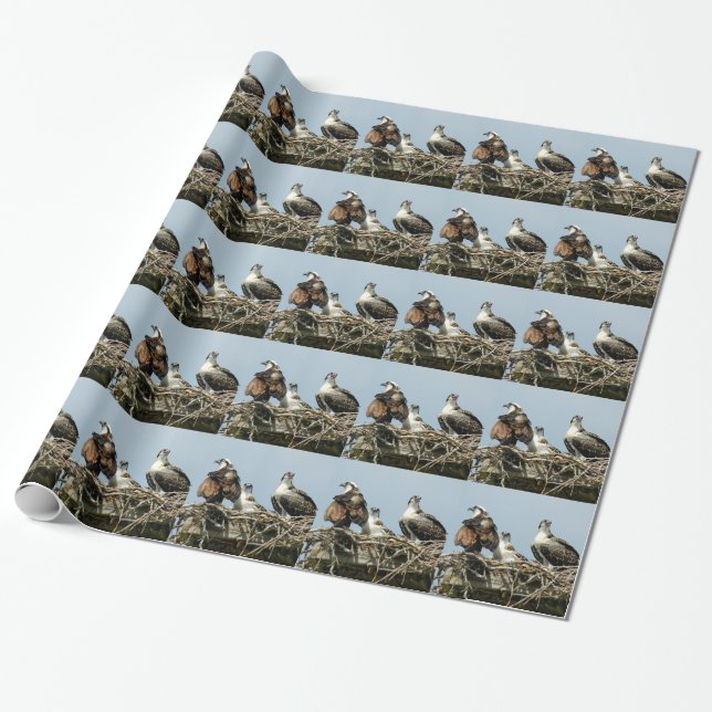 Papier Cadeau Papier d'emballage d'oiseau de famille de (Déroulé)