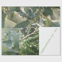 Papier d'emballage/MMETROPOLIMdesign