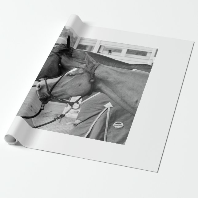Papier Cadeau Papier d'emballage poney Polo (Déroulé)