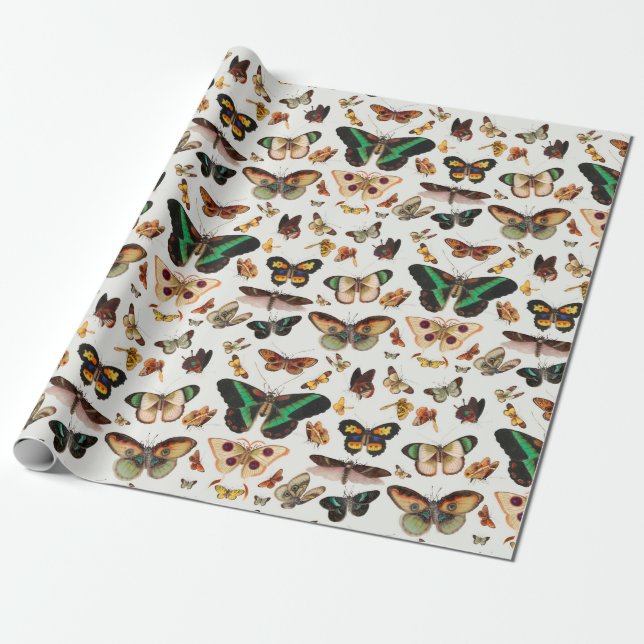 Papier Cadeau Papier d'emballage pour papillons rétro (Déroulé)