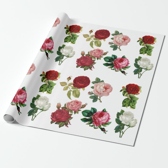 Papier Cadeau Papier d'emballage rouge vintage de rose rose et (Déroulé)