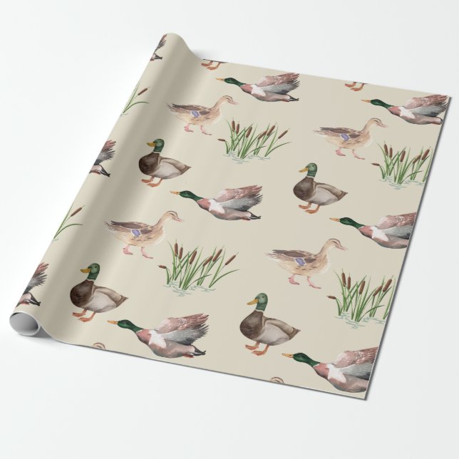 Papier Cadeau Papier d'enlèvement de canard de Mallard et de Hen (Déroulé)