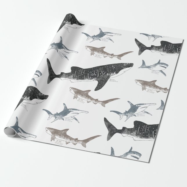 Papier Cadeau Papier d'enlèvement de requin (Déroulé)