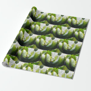 Papier Cadeau Papier d'enlèvement de serpent vert