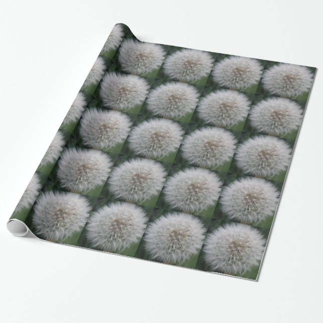 Papier Cadeau Papier d'enrobage de la fleur de Dandelion (Déroulé)