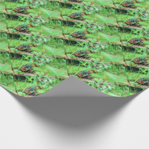 Papier Cadeau Papier d'enrobage de tortue