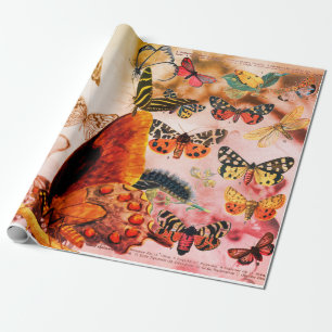 Papier Cadeau Papier d'enveloppement BUTTERFLY