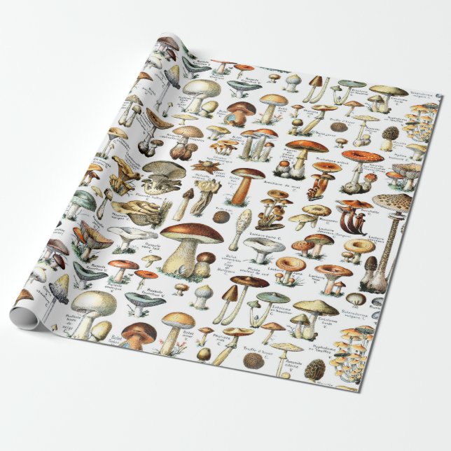 Papier Cadeau Papier d'enveloppement de champignons botaniques v (Déroulé)