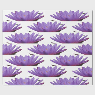 Papier Cadeau Papier d'enveloppement de fleurs de crocus pourpre