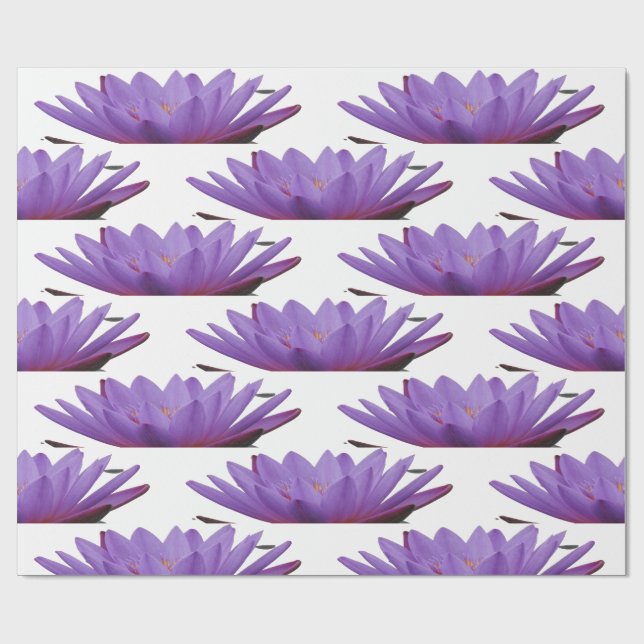 Papier Cadeau Papier d'enveloppement de fleurs de crocus pourpre (Plat)