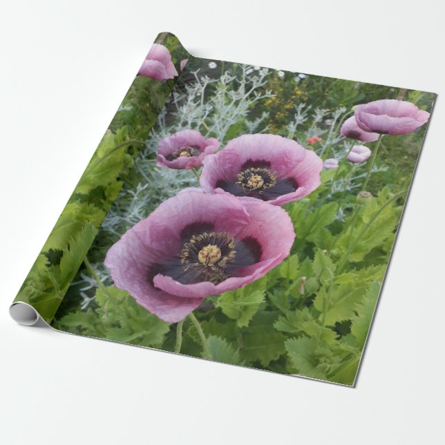 Papier Cadeau Papier d'enveloppement de fleurs de violet rose (Déroulé)