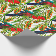 Papier d'enveloppement de perroquet King
