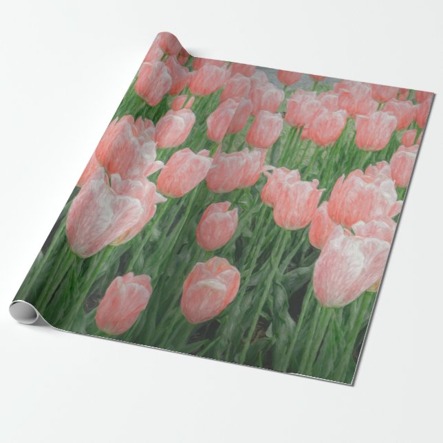 Papier Cadeau Papier d'enveloppement de tulipe rose clair (Déroulé)