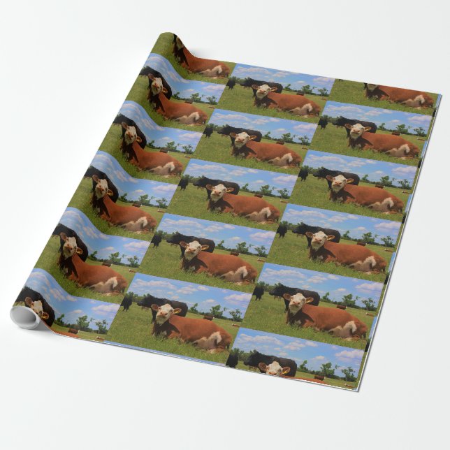 Papier Cadeau Papier d'enveloppement de vaches de Kansas Herefor (Déroulé)