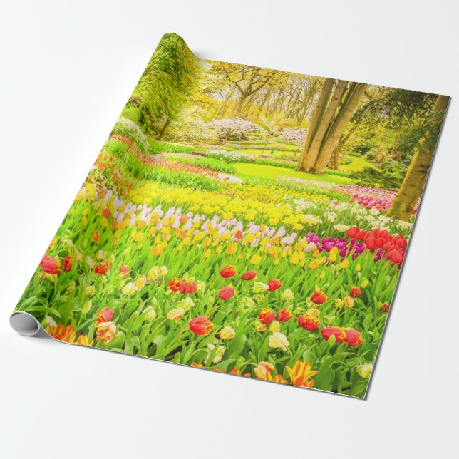 Papier Cadeau Papier d'enveloppement du parc des Tulipes et Daff (Déroulé)