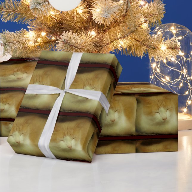 Papier Cadeau Papier d'enveloppement pour chats doux (Vacances)