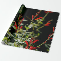 Papier rouge de Wraping de cadeau d'automne