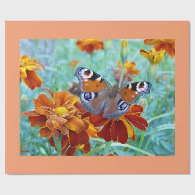 Papier Cadeau Papillon Dans Jardin Coloré (Plat)
