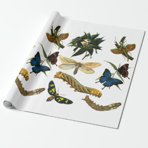 Papier Cadeau Papillons Béetle Bugs Insectes Collage Art