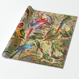 Papier Cadeau Parrots Vintages classiques
