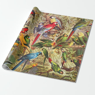 Papier Cadeau Parrots Vintages classiques