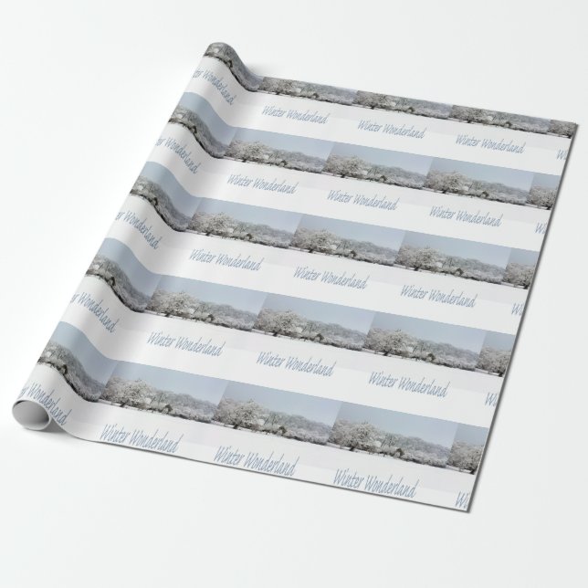 Papier Cadeau pays des merveilles hivernales (Déroulé)