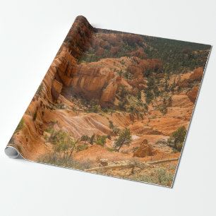 Papier Cadeau Paysage désertique du Parc national du Canyon de B