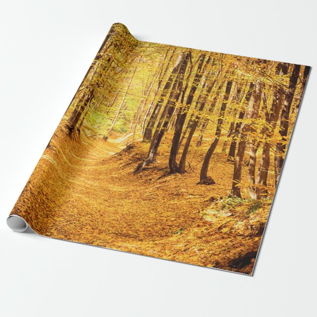 Papier Cadeau Paysage forestier d'automne (Déroulé)