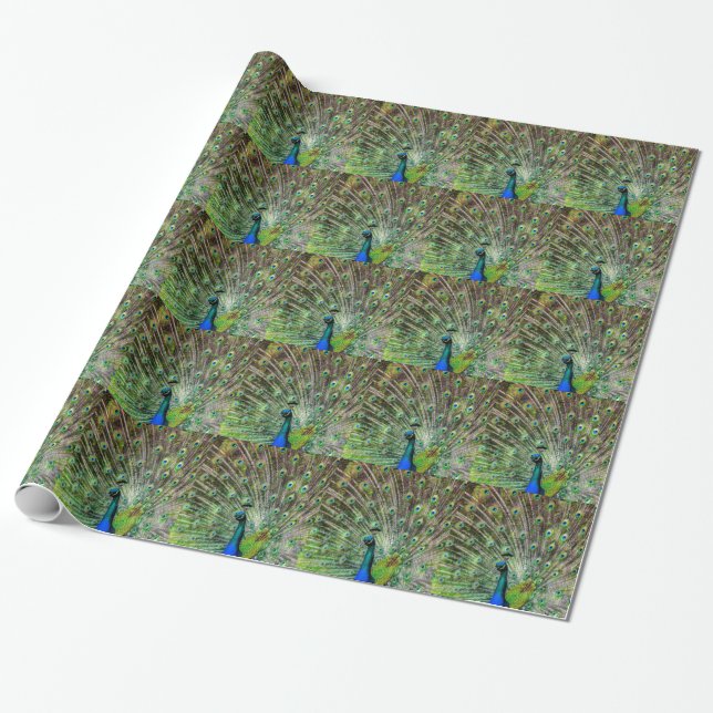 Papier Cadeau Peacock étonnant et plumes accessoires photo (Déroulé)