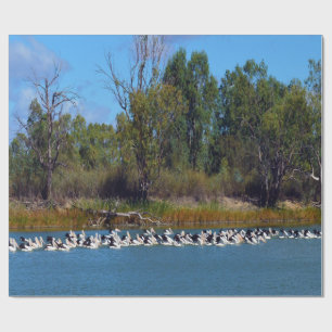 Papier Cadeau "Pêcheurs de River Murray : un rassemblement pélic